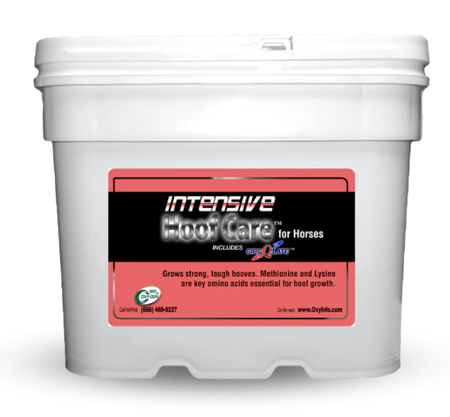Intensive Hoof Care