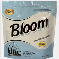 Bloom
